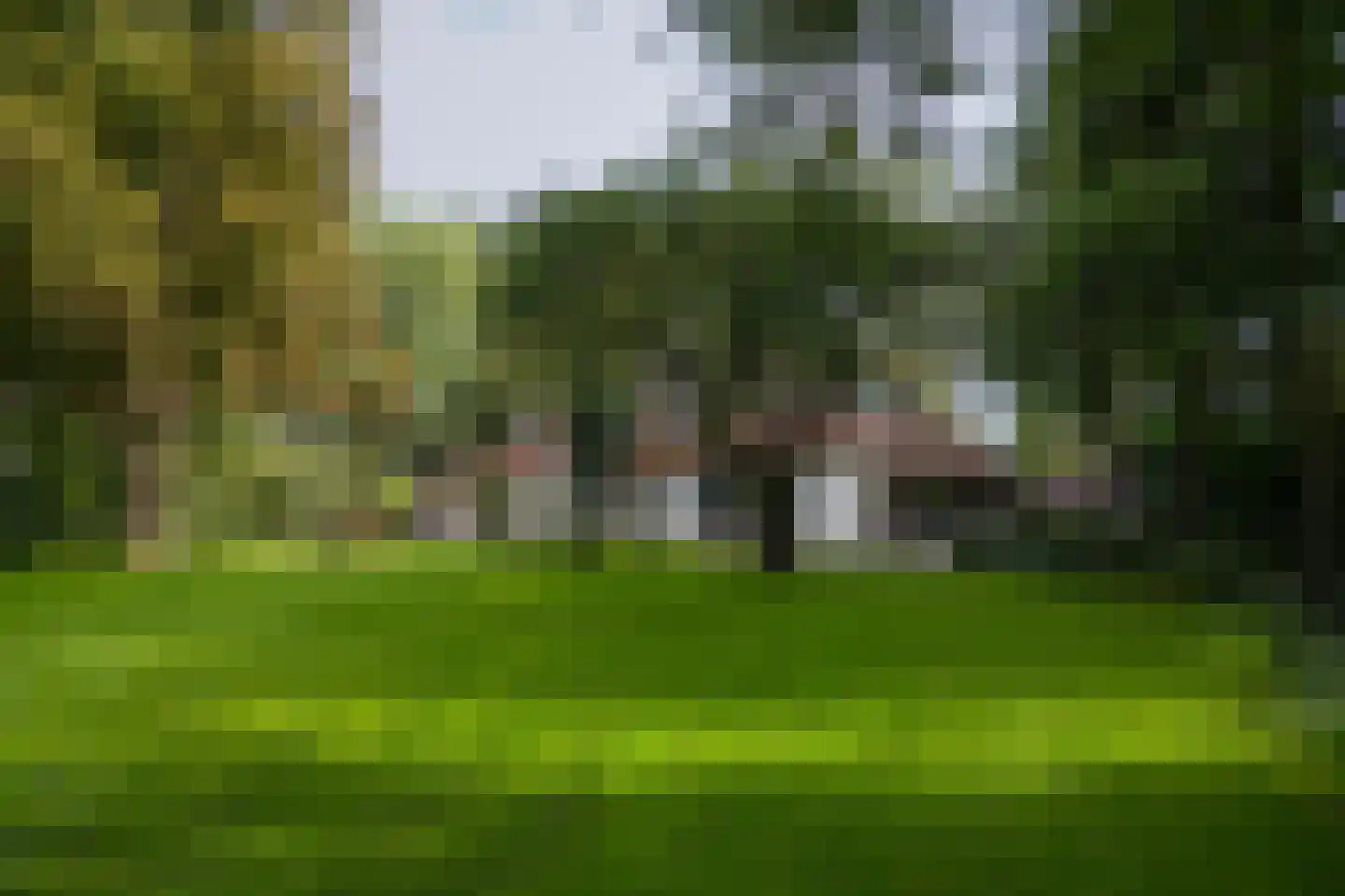 Koningsweg 1 Esch thumbnail 36