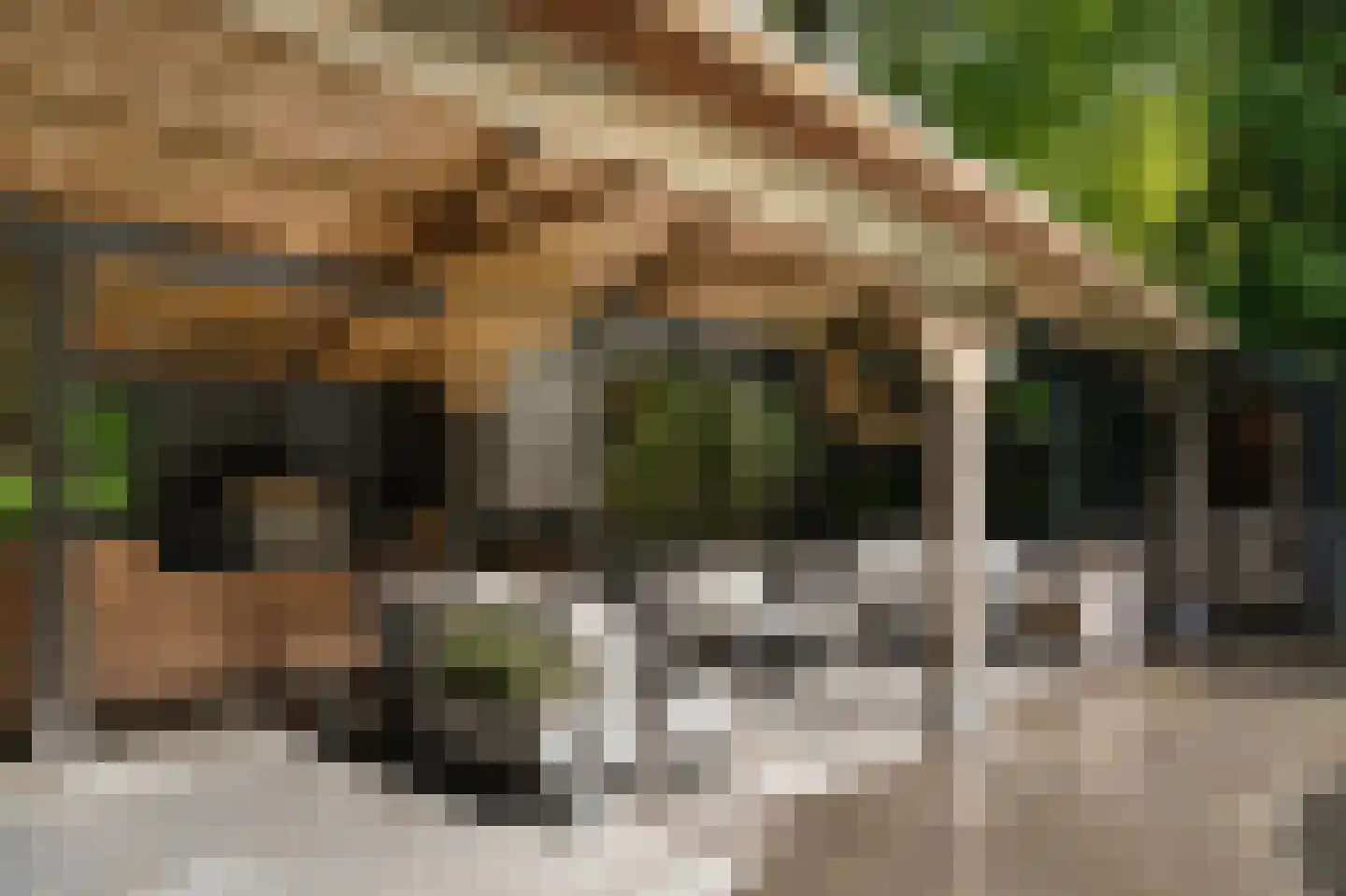 Koningsweg 1 Esch thumbnail 38