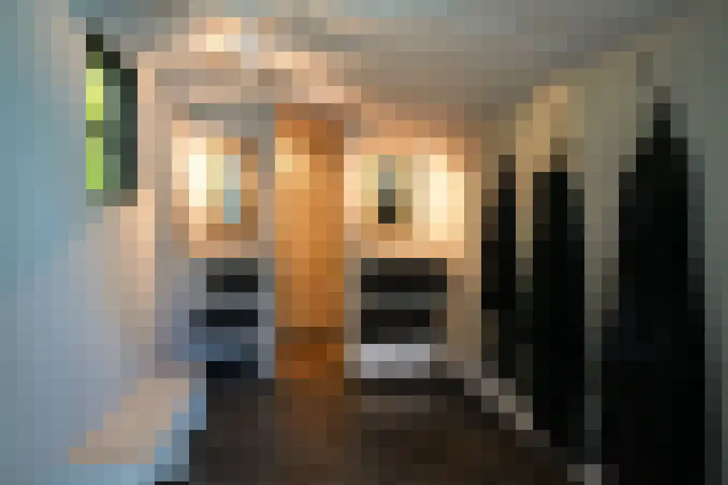 Koningsweg 1 Esch thumbnail 39