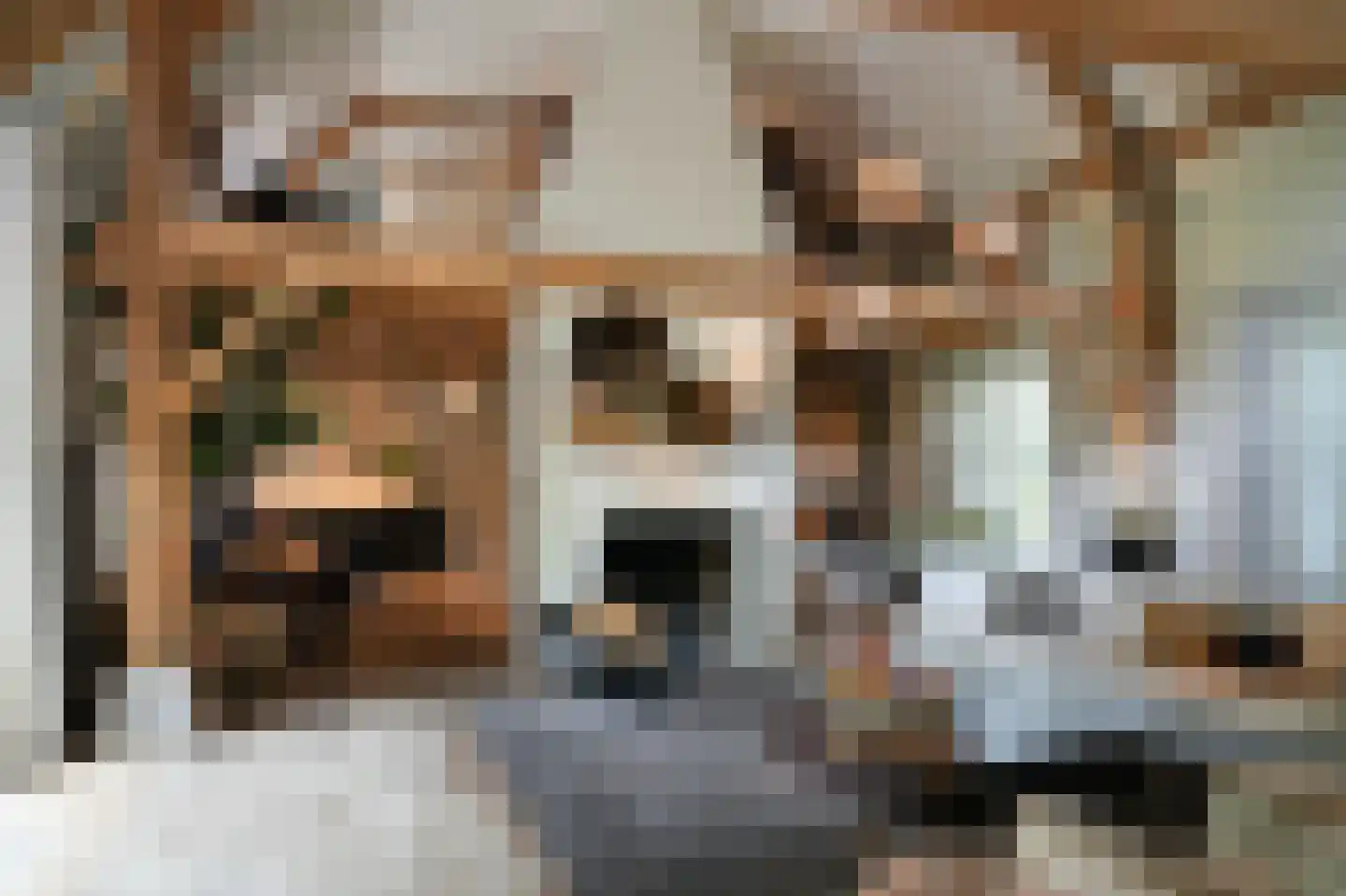 Koningsweg 1 Esch thumbnail 4