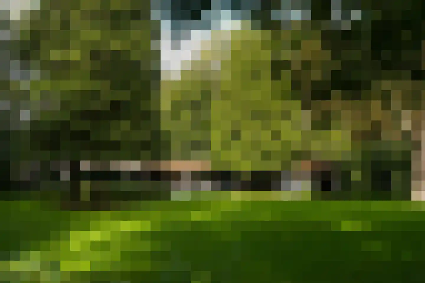 Koningsweg 1 Esch thumbnail 41