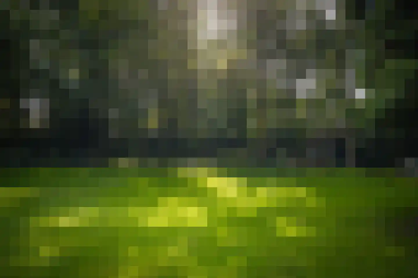 Koningsweg 1 Esch thumbnail 42