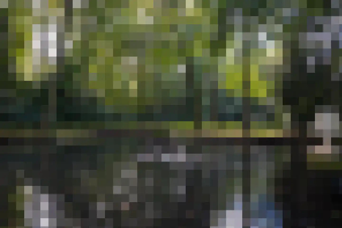 Koningsweg 1 Esch thumbnail 43