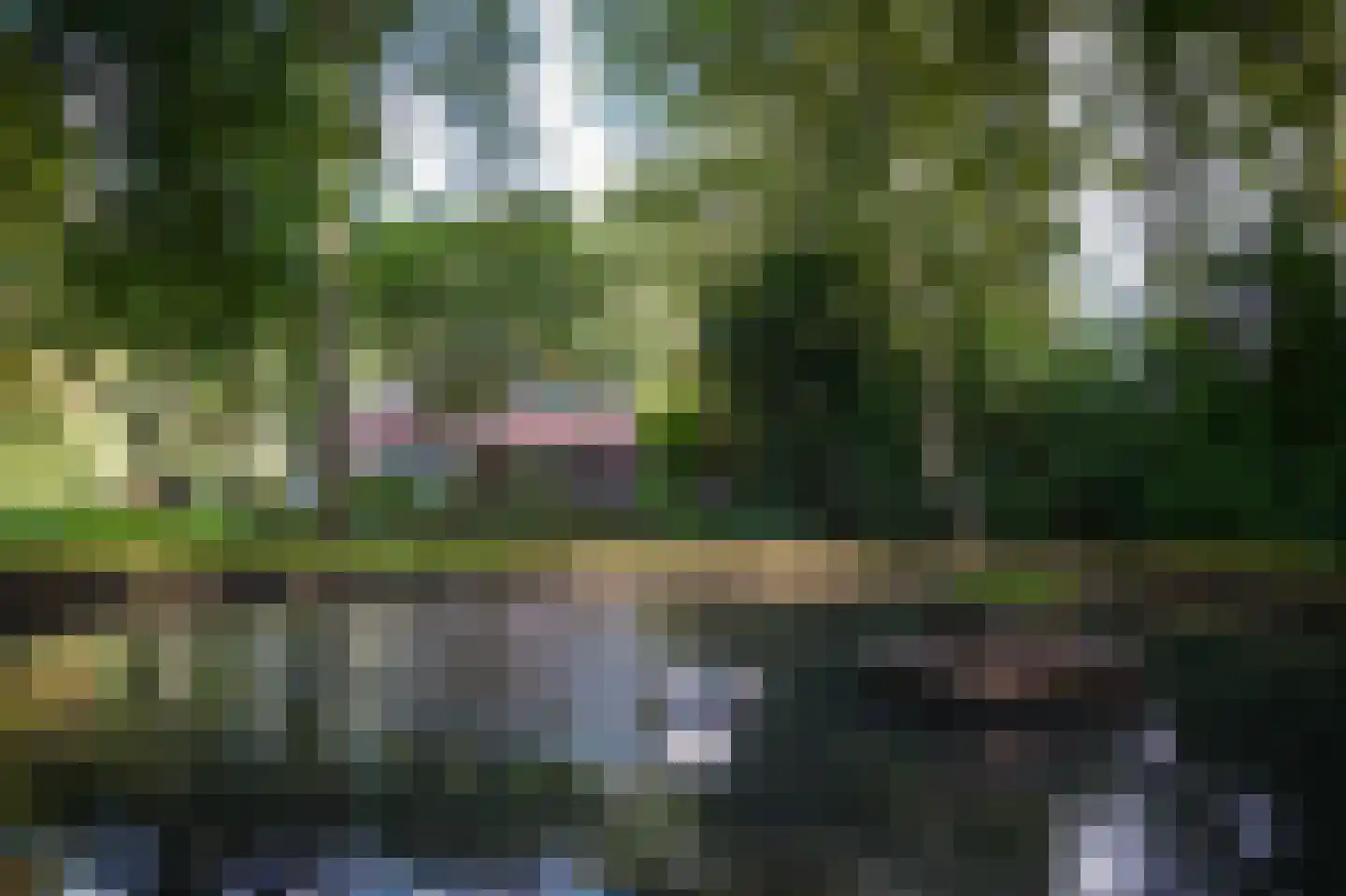Koningsweg 1 Esch thumbnail 45
