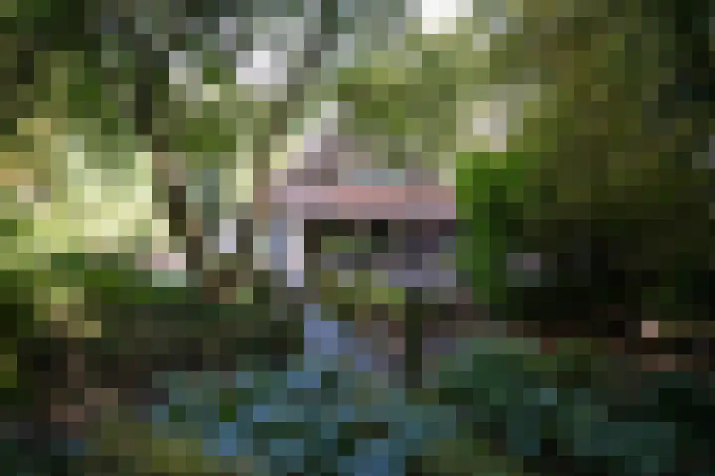 Koningsweg 1 Esch thumbnail 46
