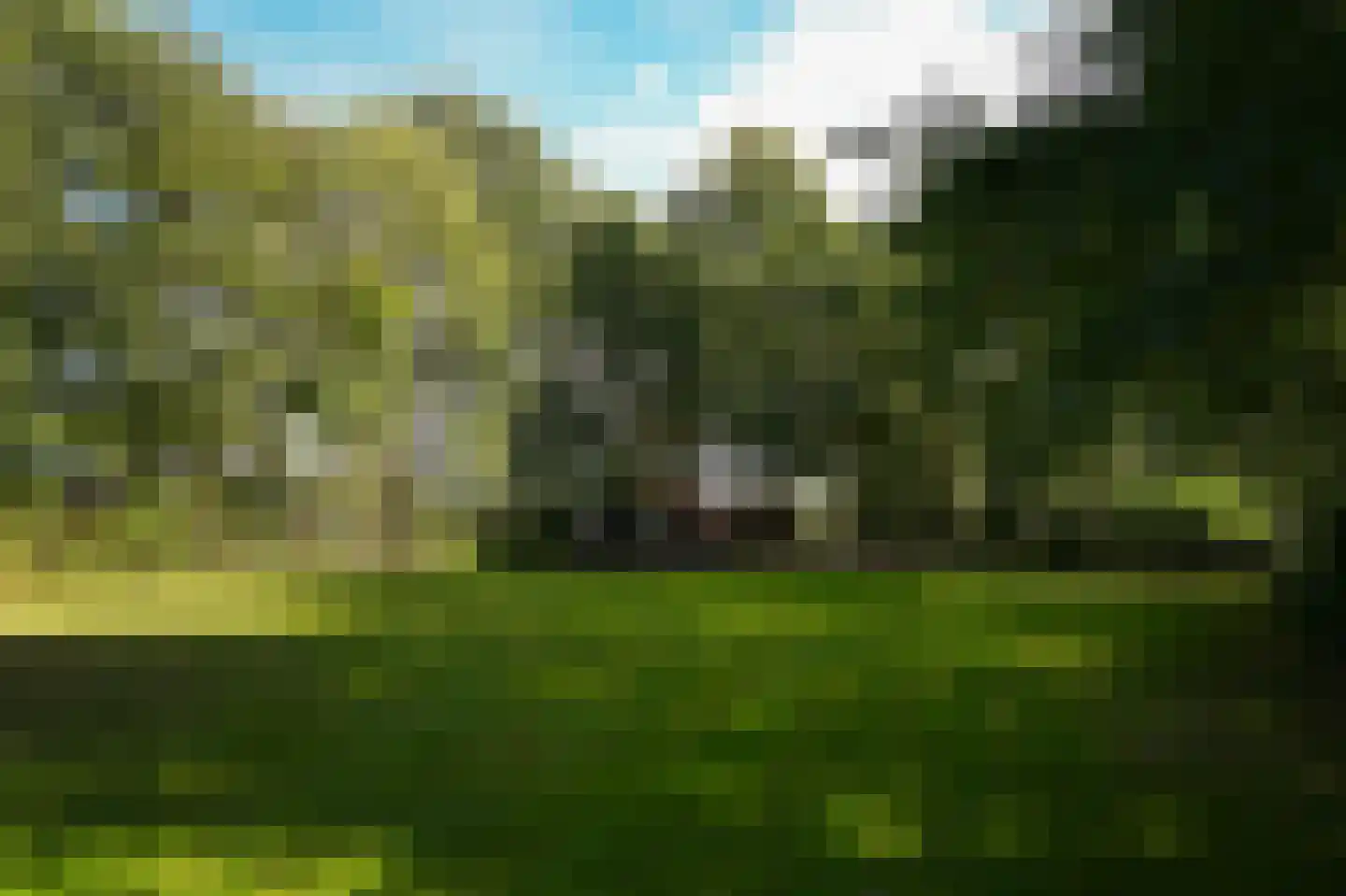 Koningsweg 1 Esch thumbnail 47