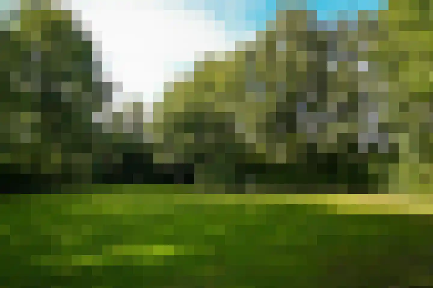 Koningsweg 1 Esch thumbnail 48