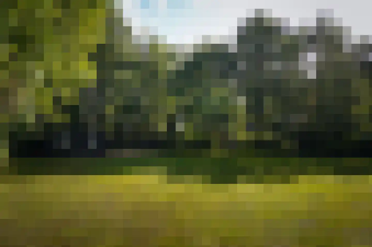 Koningsweg 1 Esch thumbnail 49