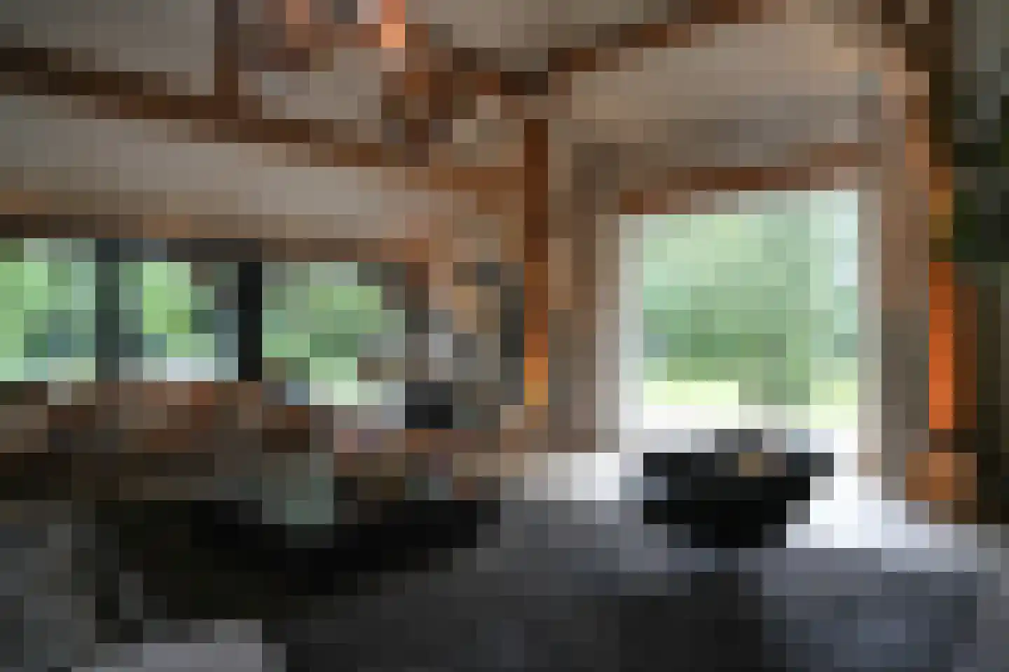 Koningsweg 1 Esch thumbnail 5