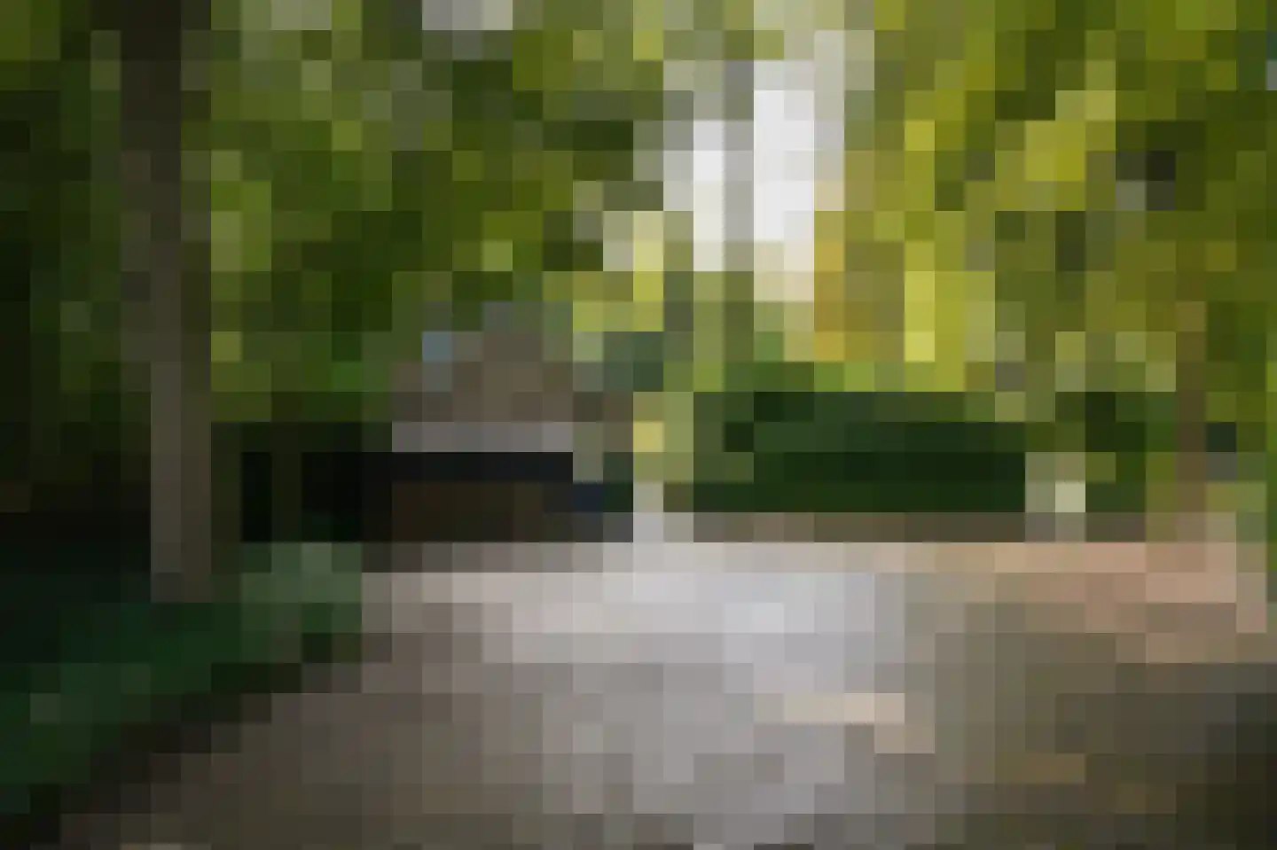 Koningsweg 1 Esch thumbnail 50