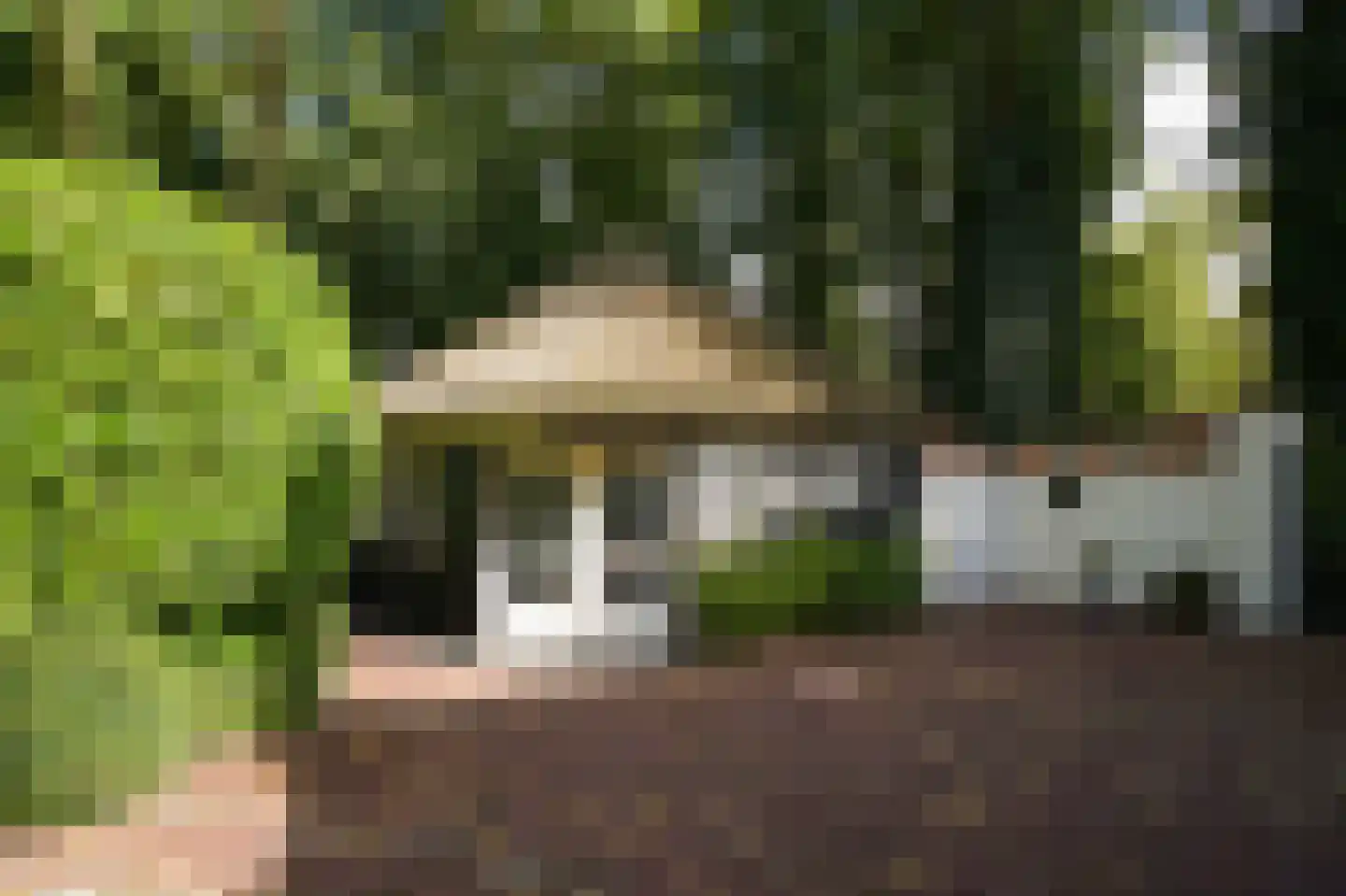 Koningsweg 1 Esch thumbnail 51