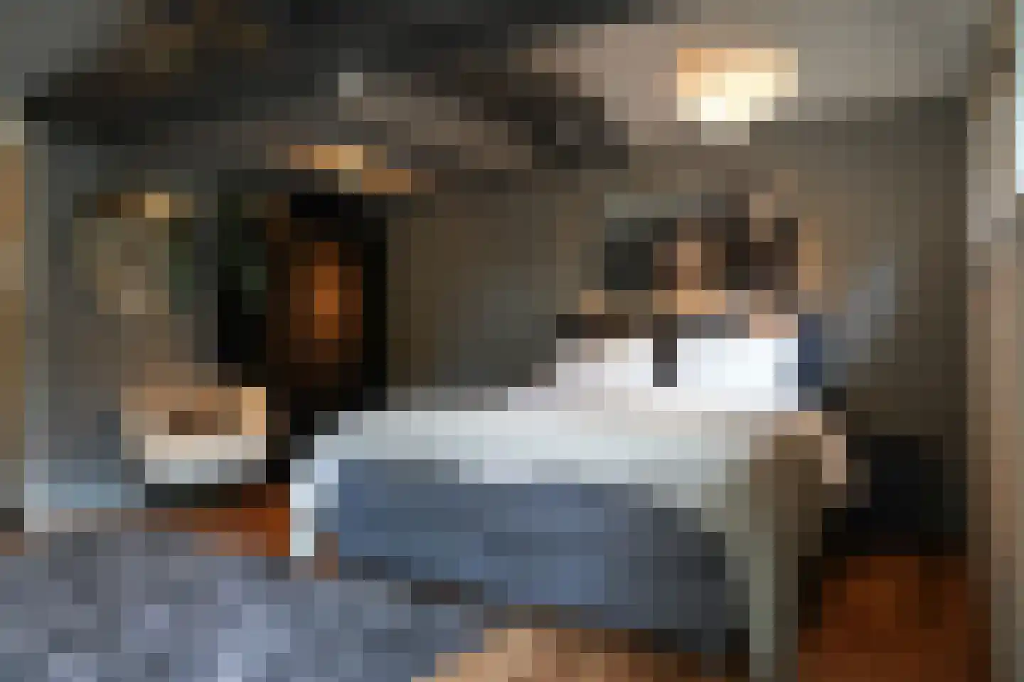 Koningsweg 1 Esch thumbnail 52