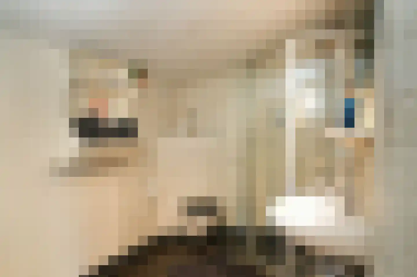 Koningsweg 1 Esch thumbnail 54