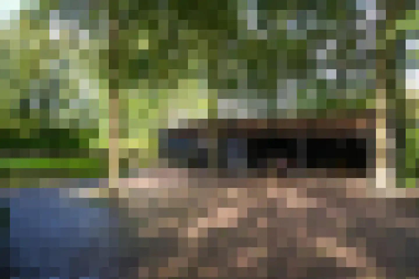 Koningsweg 1 Esch thumbnail 56