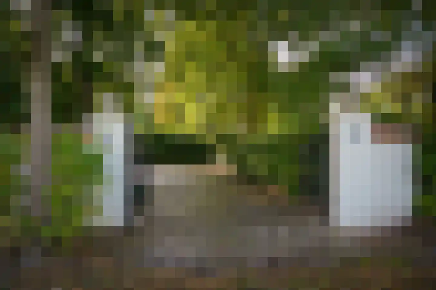 Koningsweg 1 Esch thumbnail 57