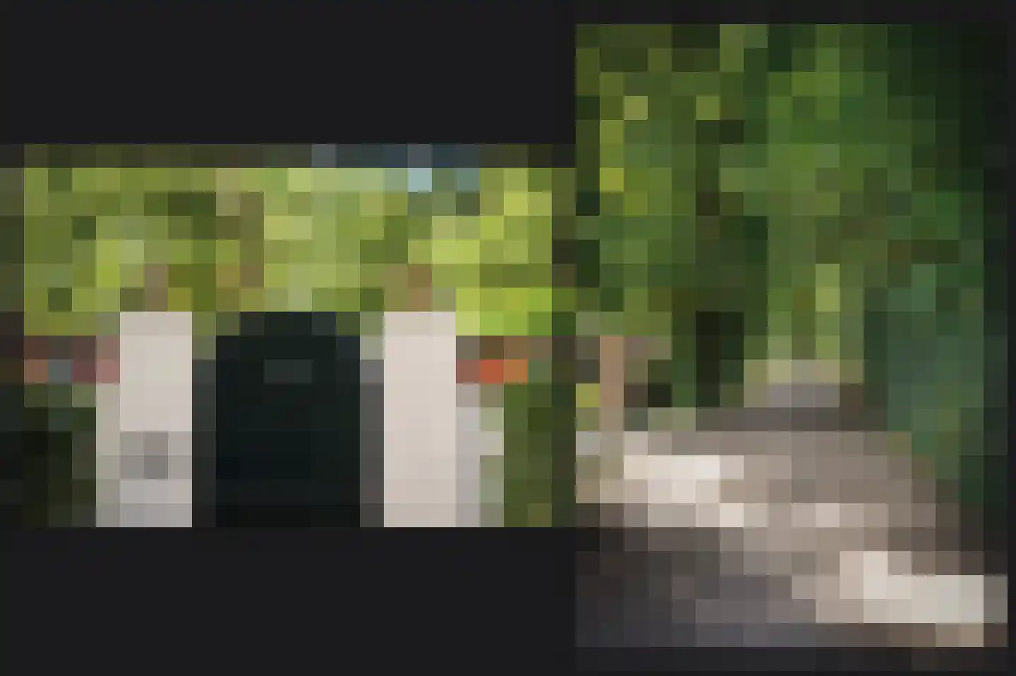 Koningsweg 1 Esch thumbnail 58