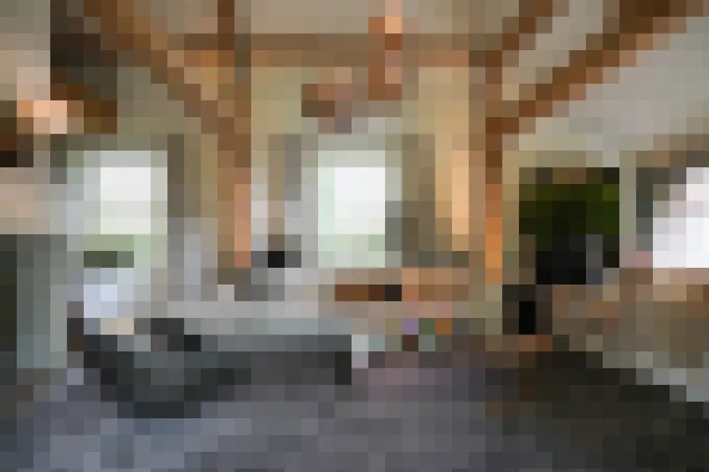 Koningsweg 1 Esch thumbnail 6
