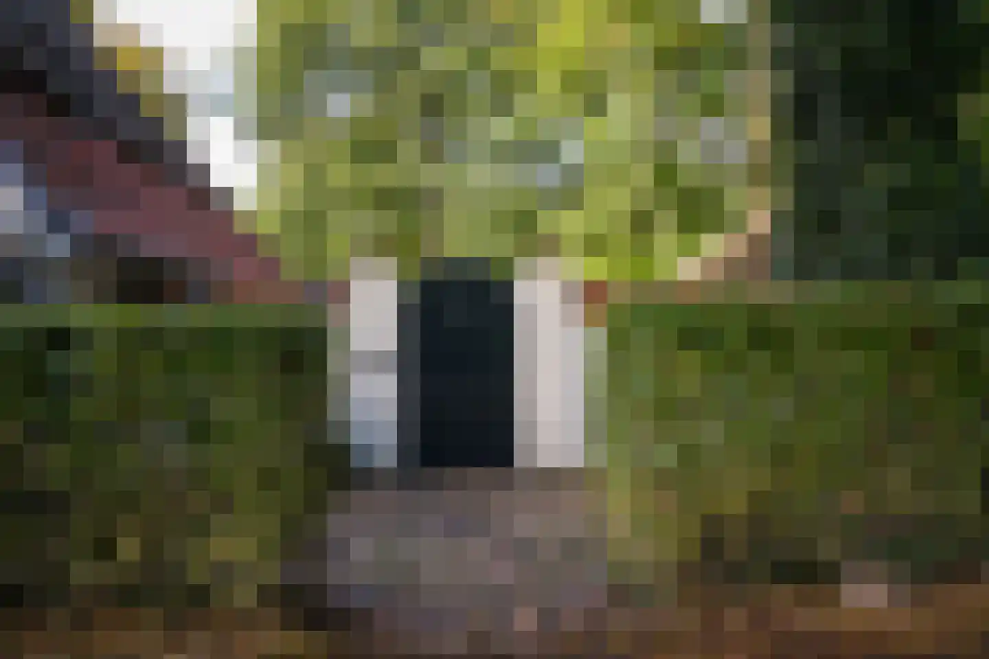 Koningsweg 1 Esch thumbnail 60