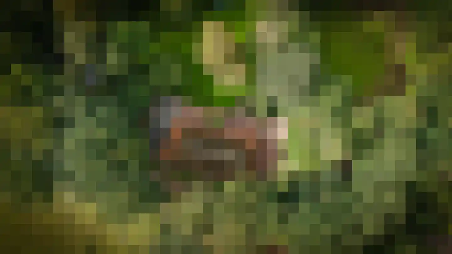 Koningsweg 1 Esch thumbnail 62