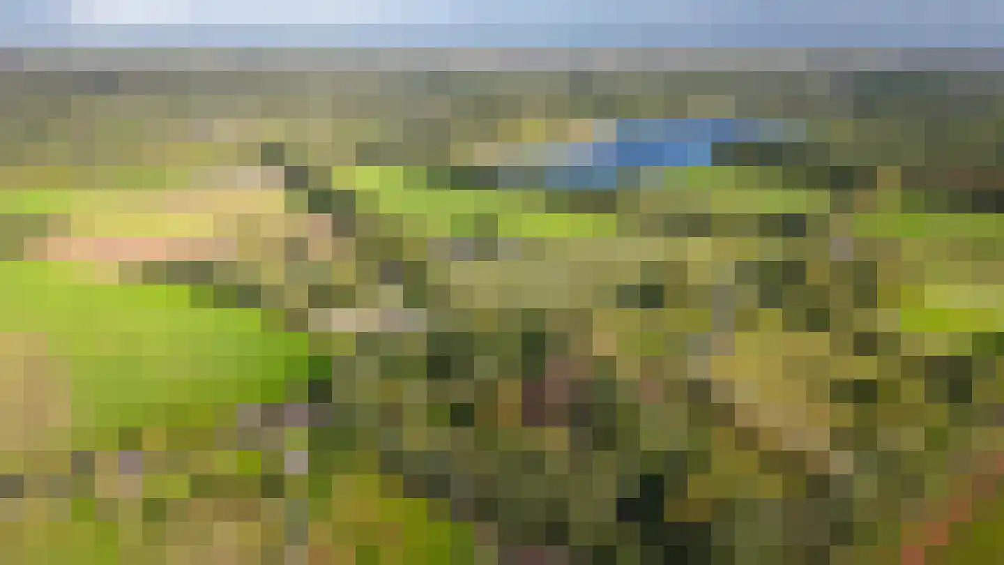 Koningsweg 1 Esch thumbnail 63