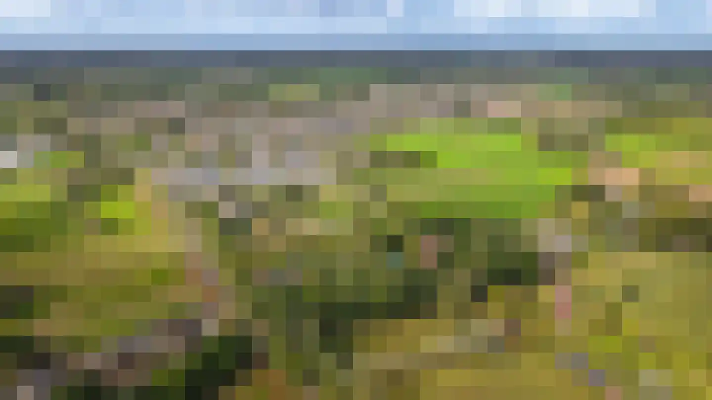 Koningsweg 1 Esch thumbnail 64
