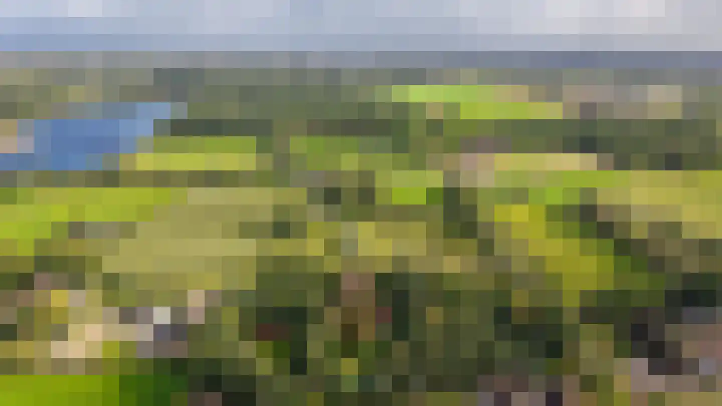 Koningsweg 1 Esch thumbnail 65