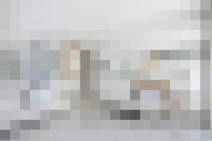 Koningsweg 1 Schoorl thumbnail 11