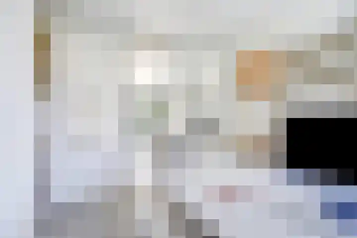 Koningsweg 1 Schoorl thumbnail 14