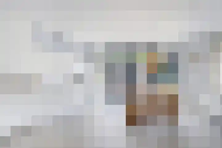 Koningsweg 1 Schoorl thumbnail 20