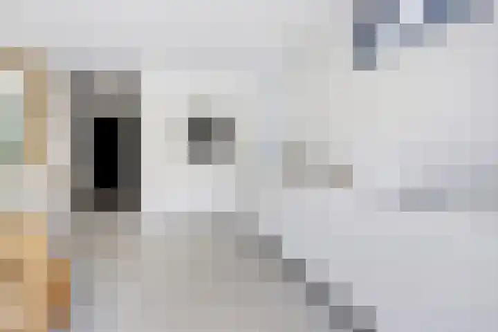 Koningsweg 1 Schoorl thumbnail 22