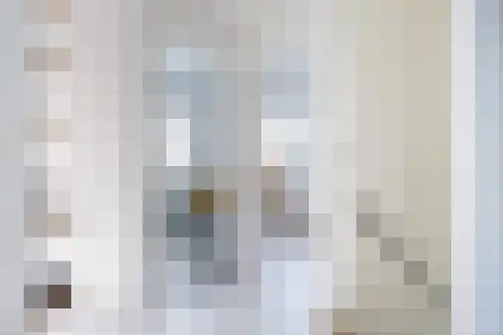Koningsweg 1 Schoorl thumbnail 27