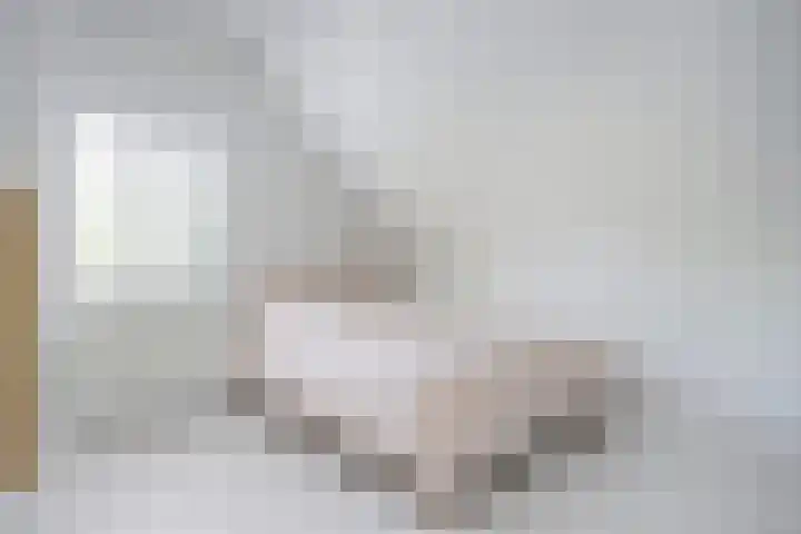 Koningsweg 1 Schoorl thumbnail 30