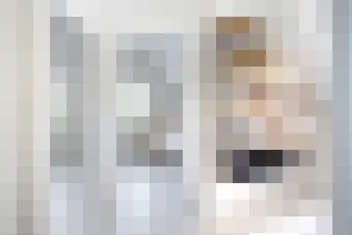 Koningsweg 1 Schoorl thumbnail 33