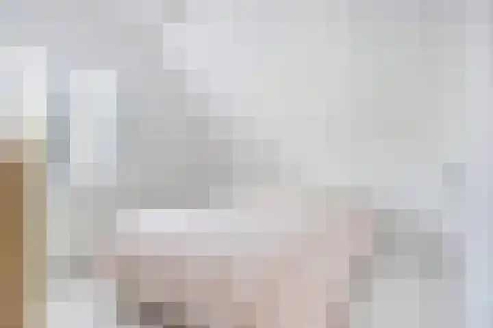 Koningsweg 1 Schoorl thumbnail 34
