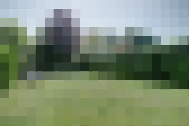 Koningsweg 1 Schoorl thumbnail 41