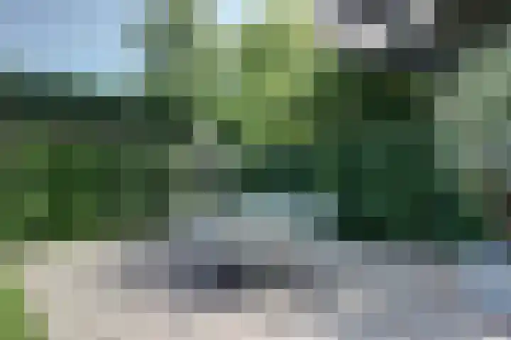 Koningsweg 1 Schoorl thumbnail 42