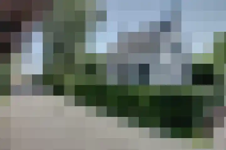 Koningsweg 1 Schoorl thumbnail 48