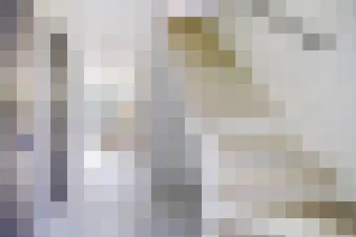 Koningsweg 1 Schoorl thumbnail 5