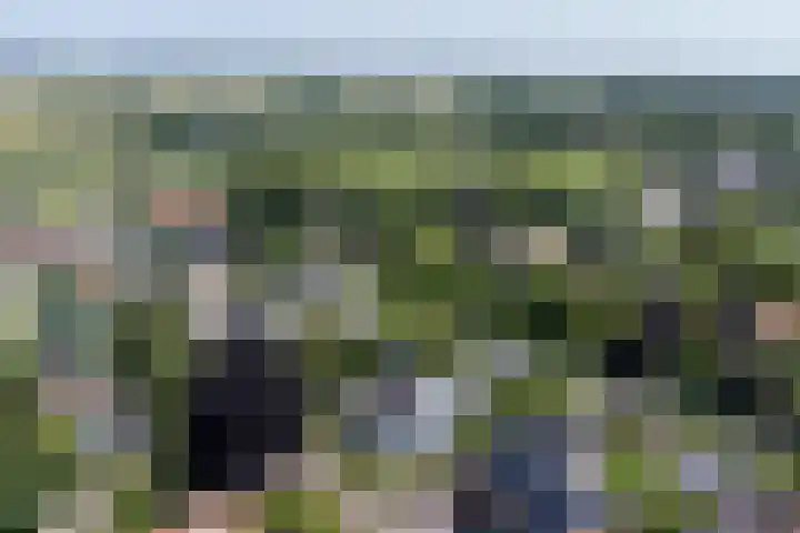Koningsweg 1 Schoorl thumbnail 51