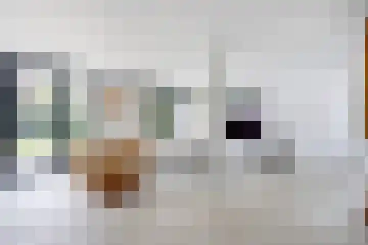 Koningsweg 1 Schoorl thumbnail 6