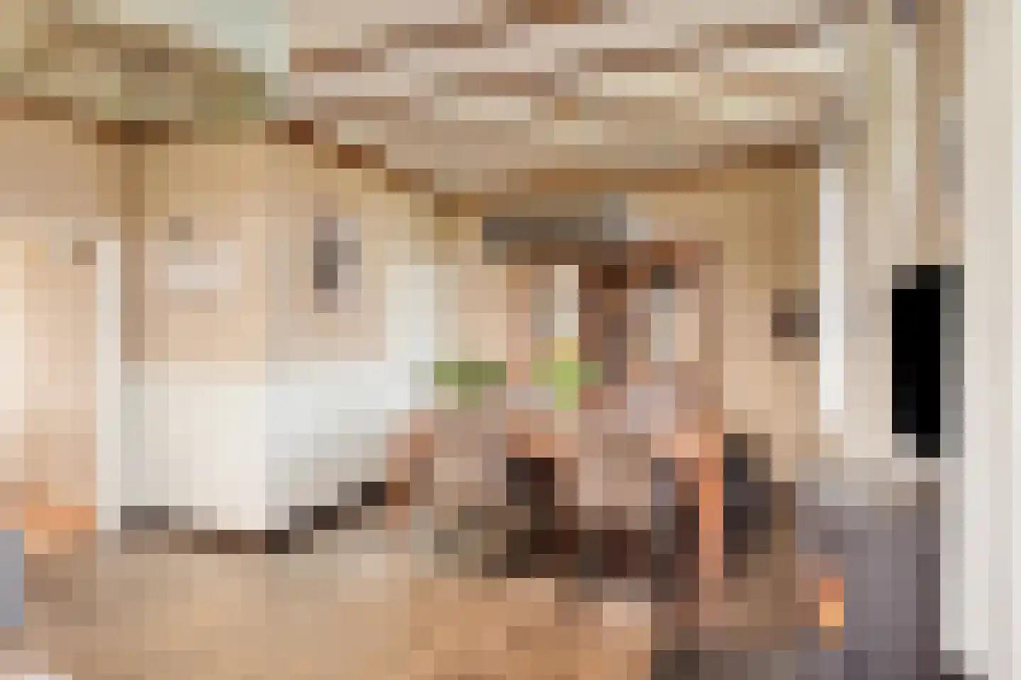 Koningsweg 10 A Hengelo (Gld) thumbnail 12