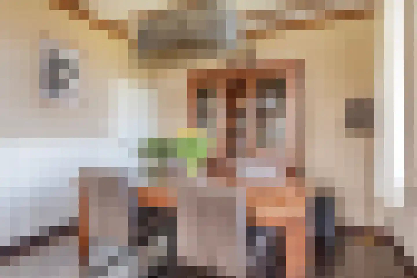Koningsweg 10 A Hengelo (Gld) thumbnail 14