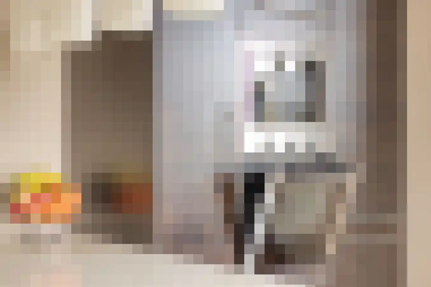 Koningsweg 10 A Hengelo (Gld) thumbnail 21