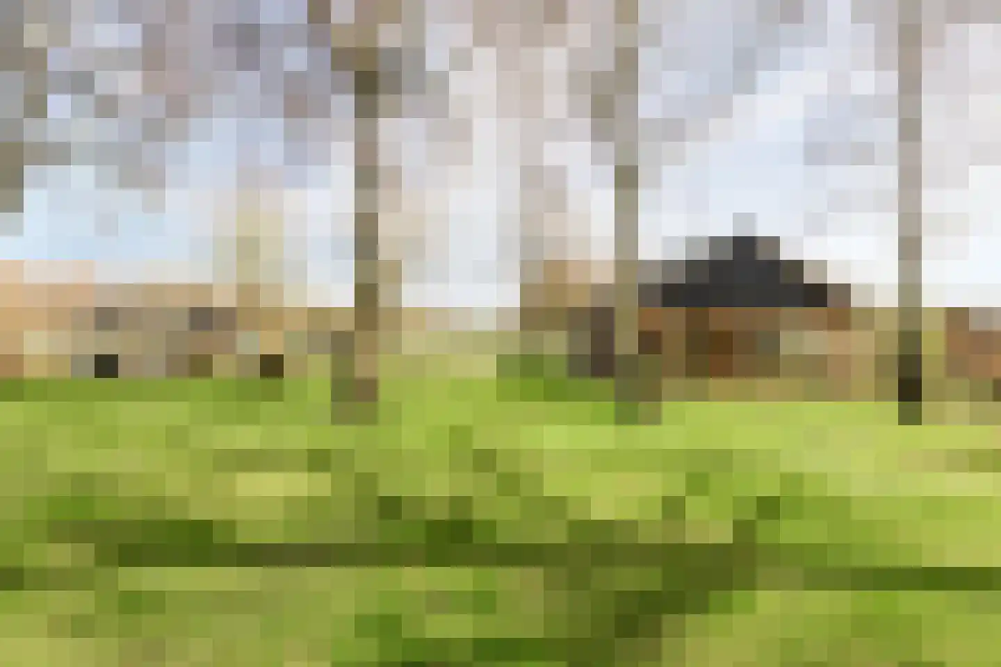 Koningsweg 10 A Hengelo (Gld) thumbnail 34