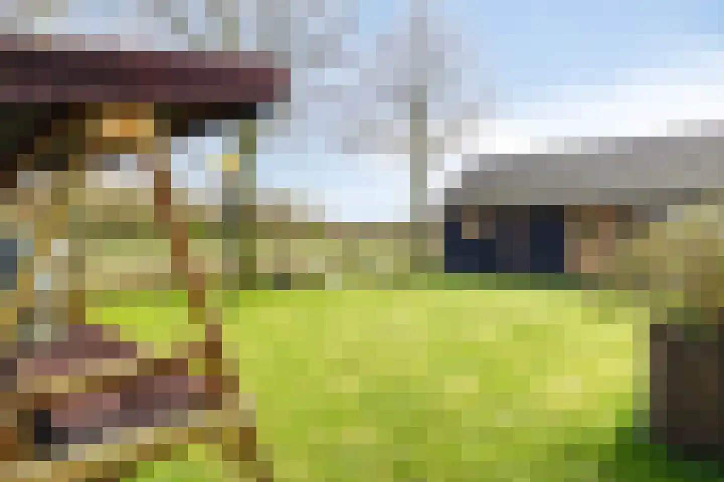 Koningsweg 10 A Hengelo (Gld) thumbnail 36