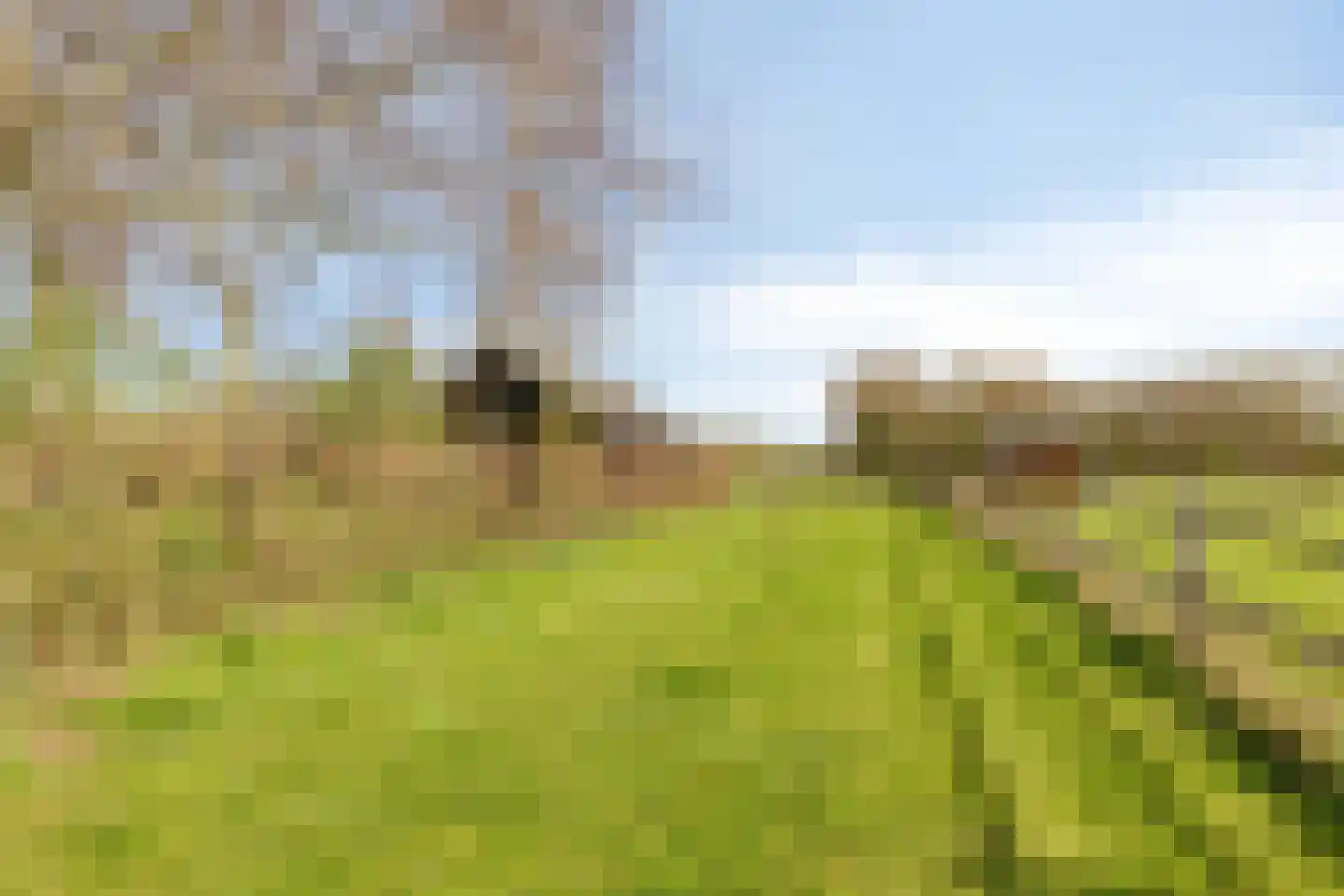 Koningsweg 10 A Hengelo (Gld) thumbnail 44