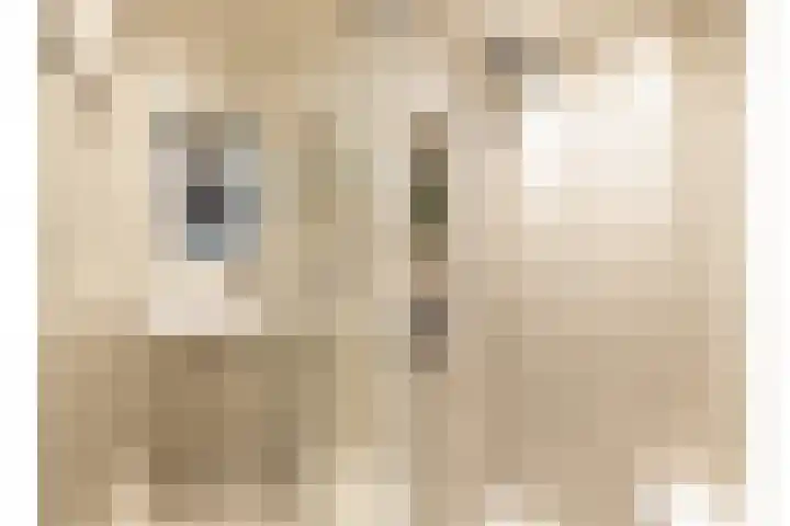 Koningsweg 10 Utrecht thumbnail 26
