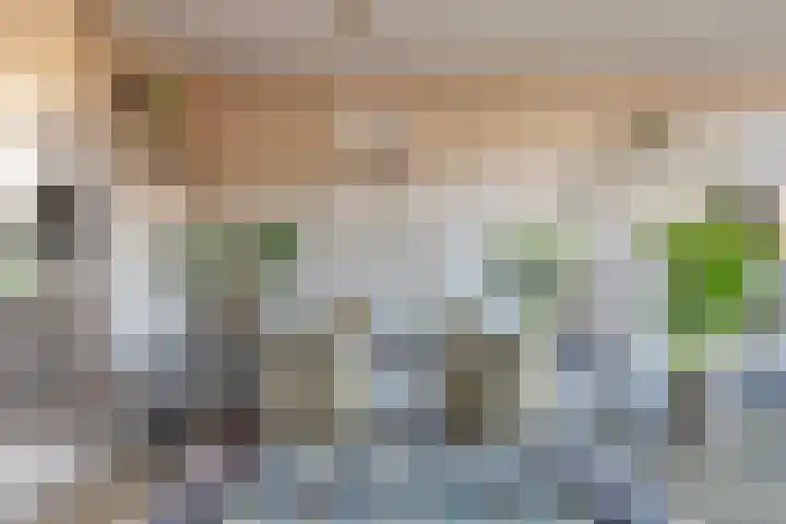 Koningsweg 101 Winterswijk thumbnail 14