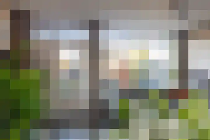 Koningsweg 101 Winterswijk thumbnail 20
