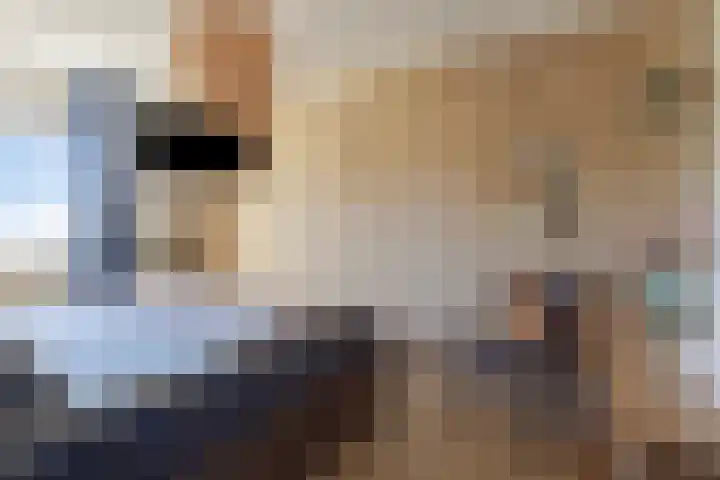 Koningsweg 101 Winterswijk thumbnail 24